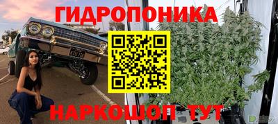 кокс Кунгур