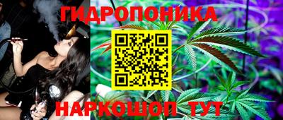 PSILOCYBIN Кулебаки