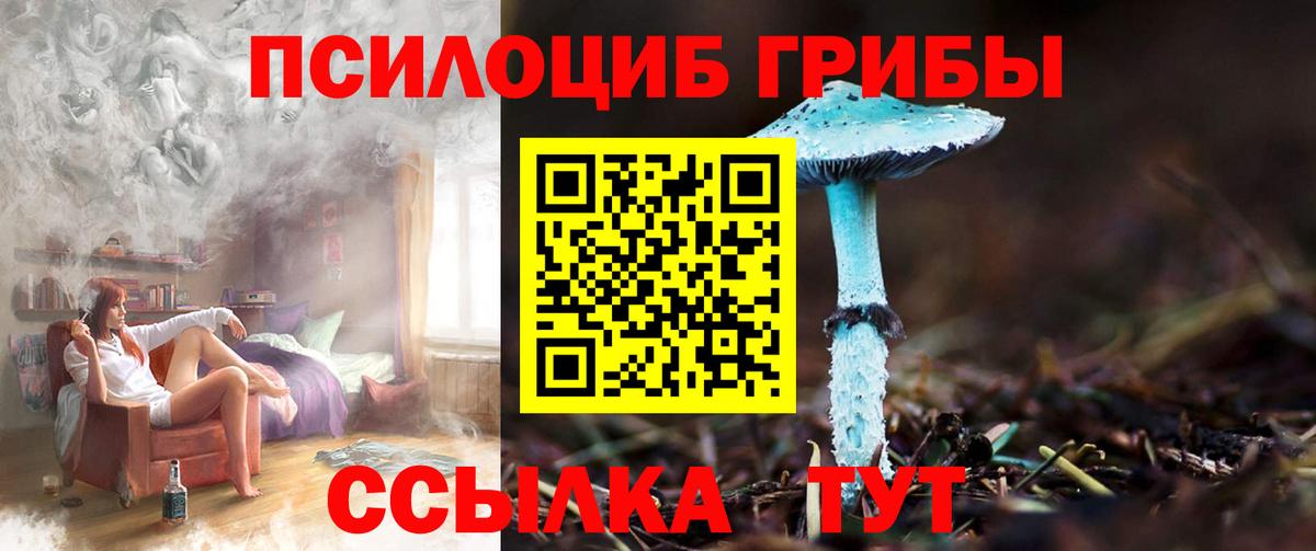 Псилоцибиновые грибы ЛСД Вольск